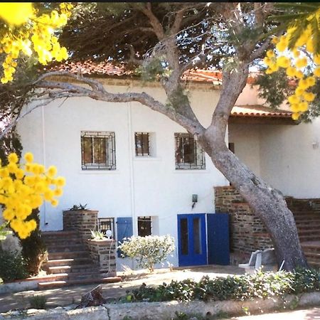 Villa Bleue - Les Pins Port Vendres Ngoại thất bức ảnh