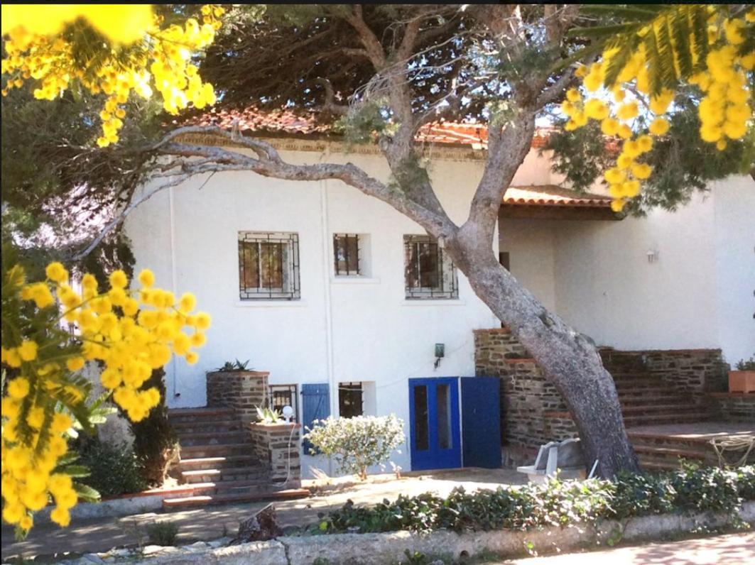 Villa Bleue - Les Pins Port Vendres Ngoại thất bức ảnh