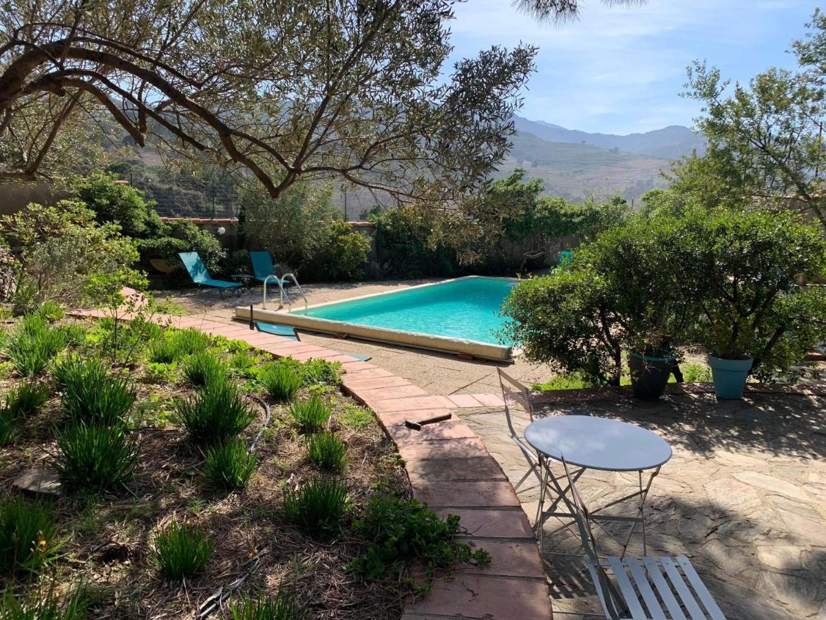 Villa Bleue - Les Pins Port Vendres Ngoại thất bức ảnh