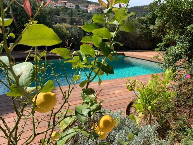 Villa Bleue - Les Pins Port Vendres Ngoại thất bức ảnh